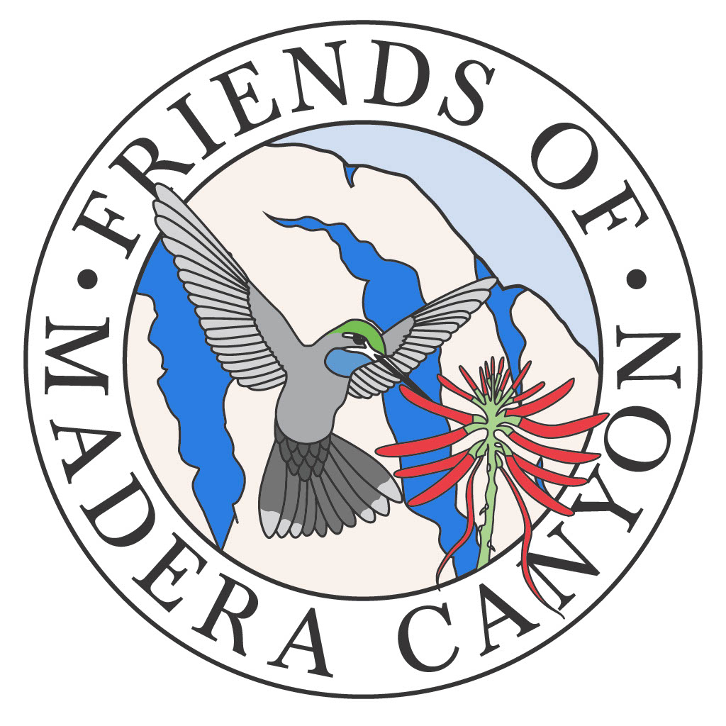 1769892415827 Dc959742 710f 4830 A1af 3f9964f6f69b 1