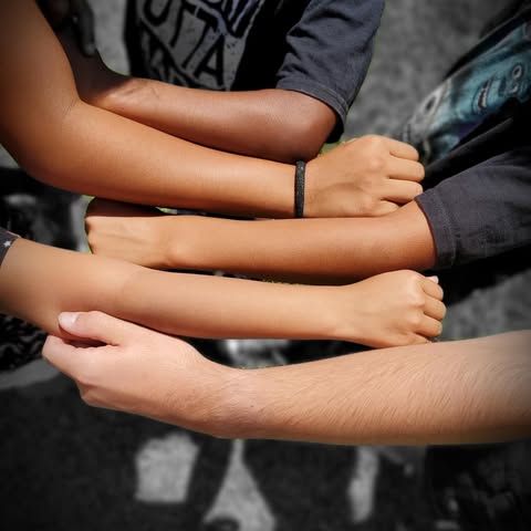 327180133 858674152025234 3591138582362442498 N