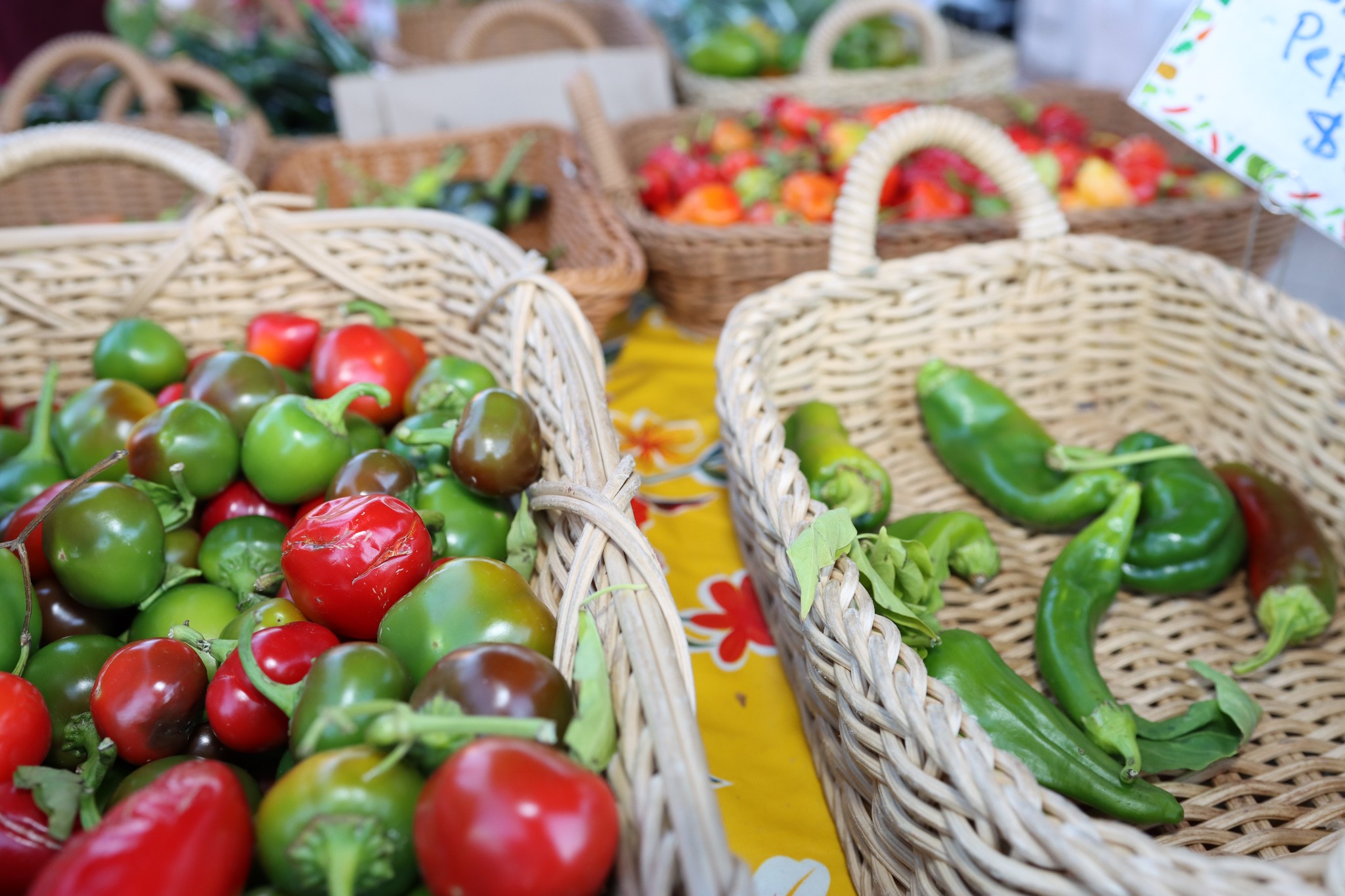 616166248 1312542824240005 7650339507978074578 N