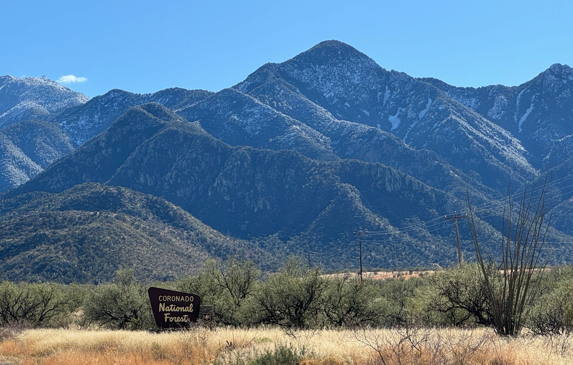 Coronado Forest Sign With Mountains Westergard