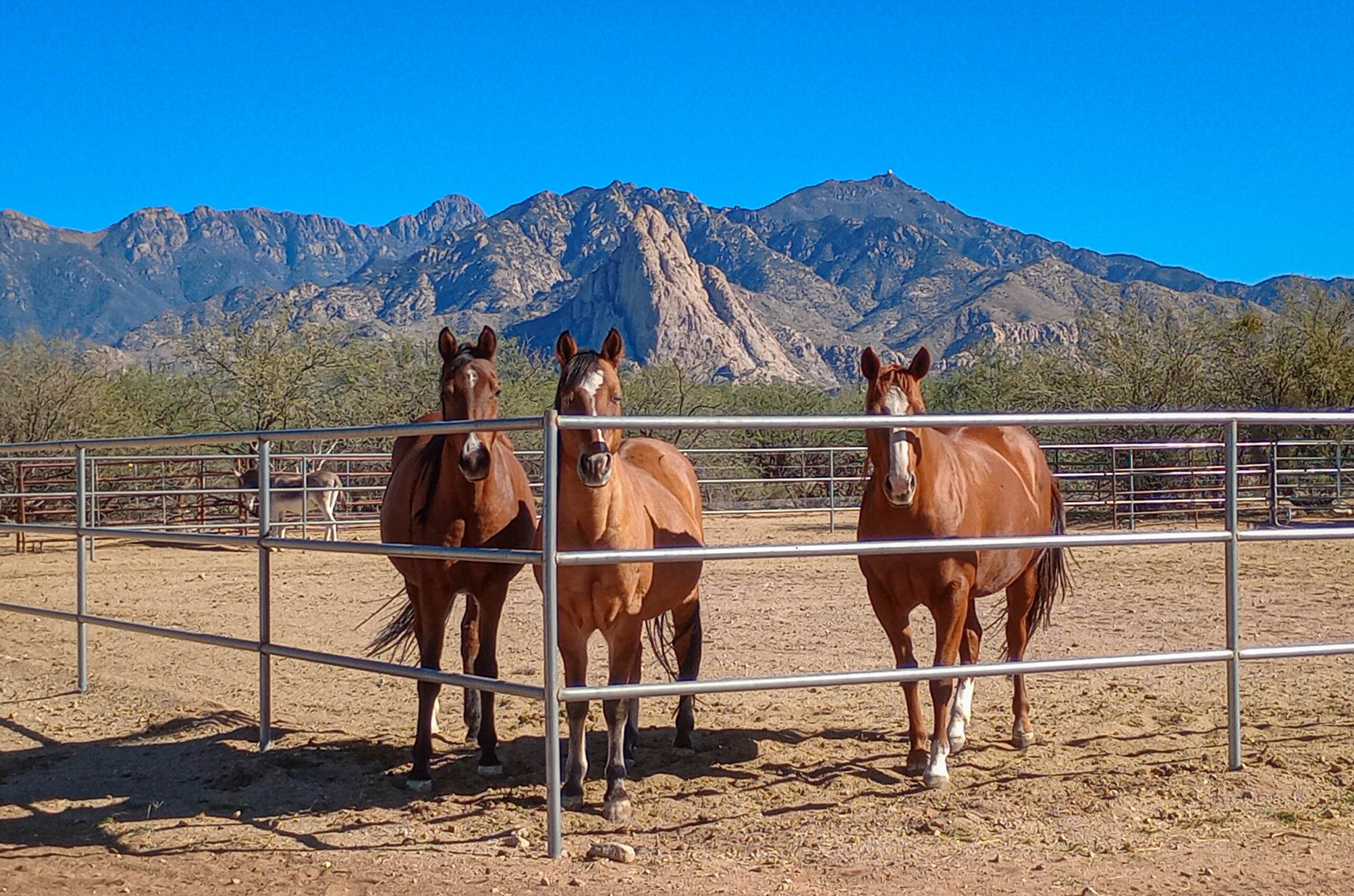 IMG 20251104 141001008cropped Scaled